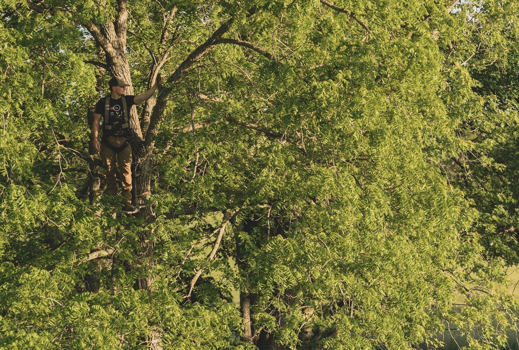 A hunter high in a tree stand.