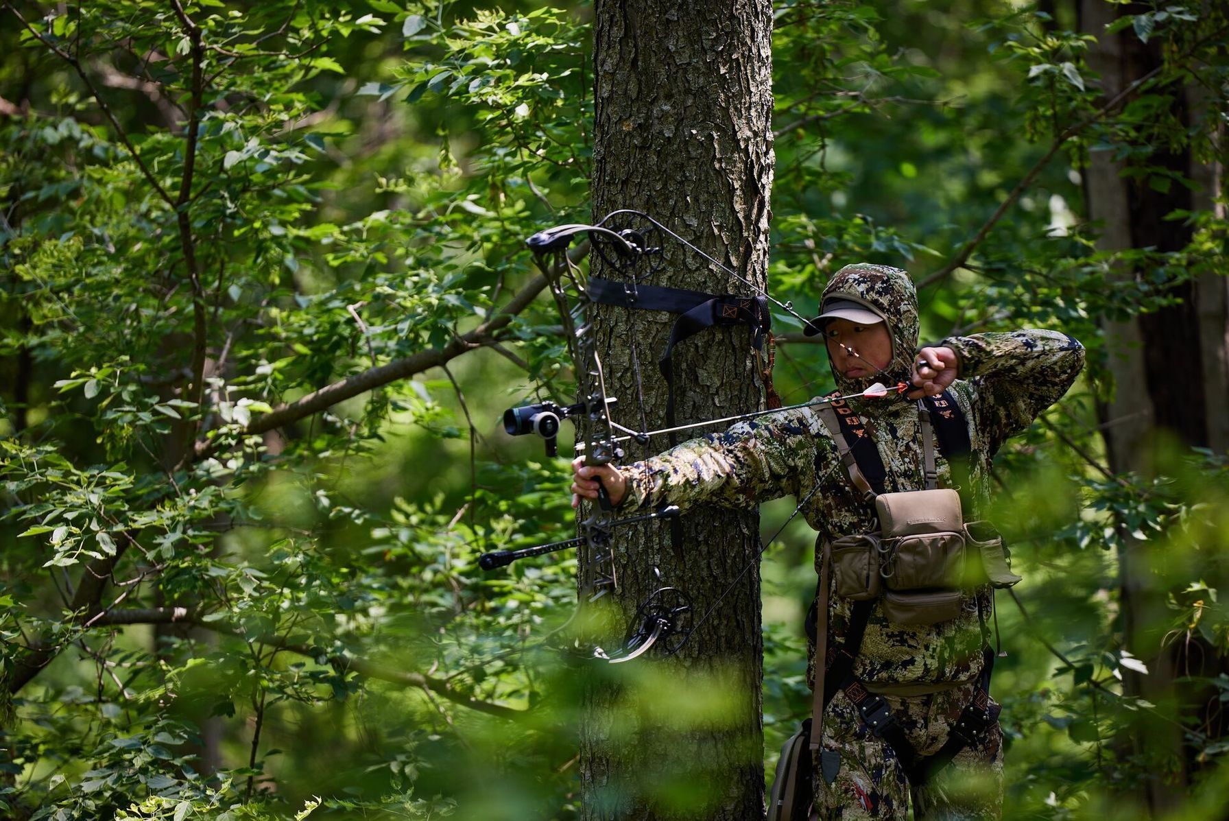 Hunter in tree stand draws bow, scent control deer hunting concept.