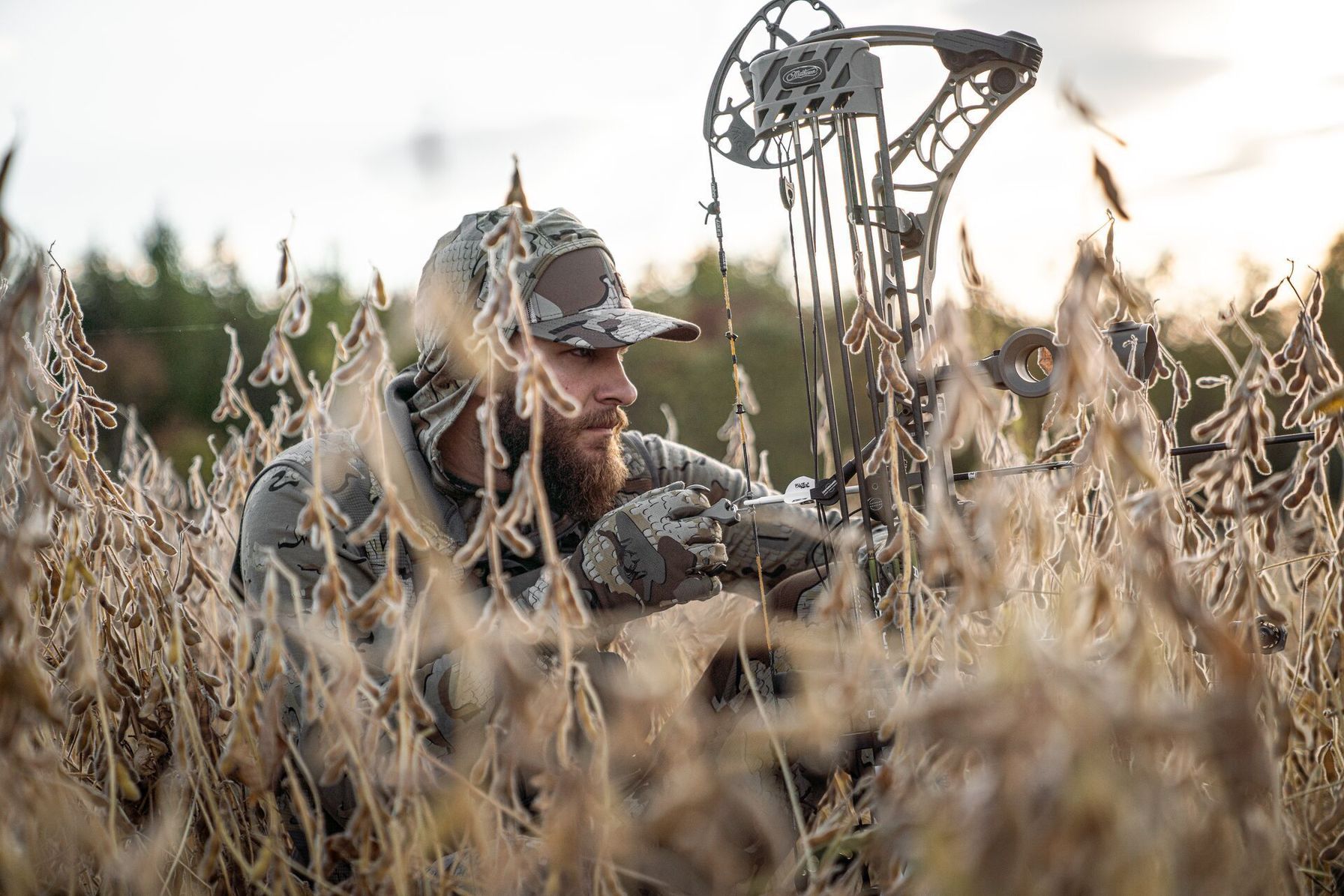 Hunter crouches in tall brush with bow.