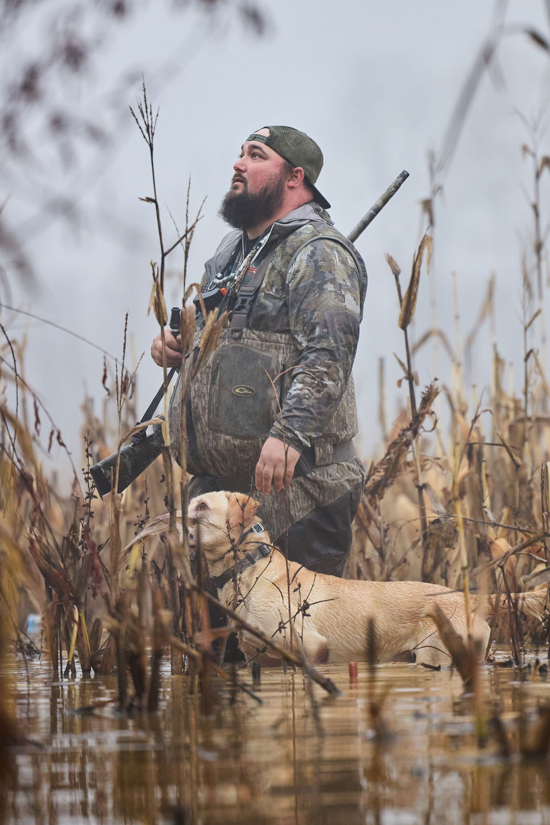 Hunter with dog in water for waterfowl hunt, public duck hunting land concept.