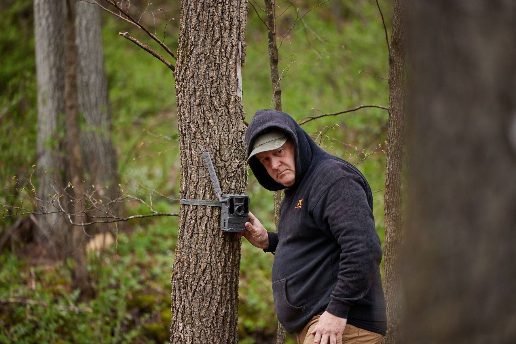 Jeff Sturgis sets up a trail cam on a tree, how to understand deer movement concept.