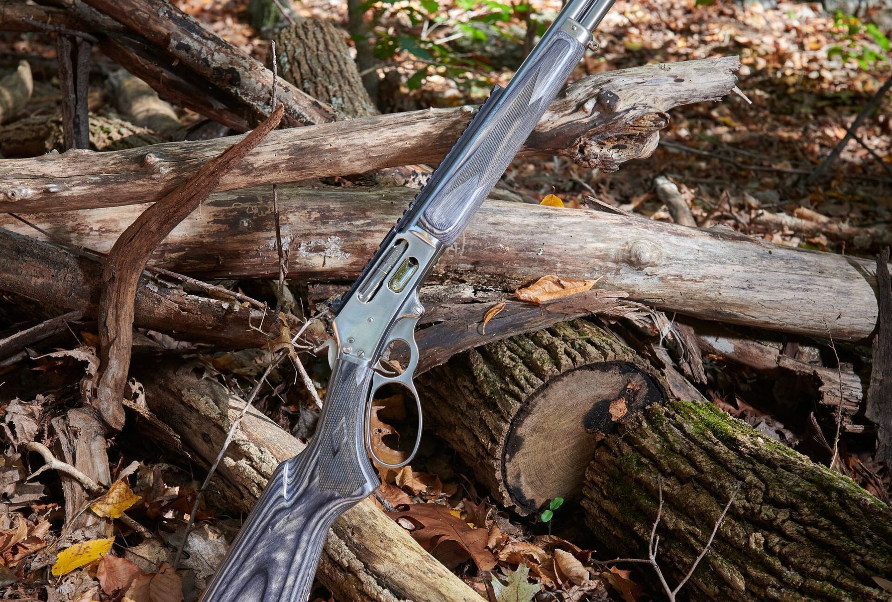 Lever action hunting rifle leans on tree limb, types of hunting rifles concept.