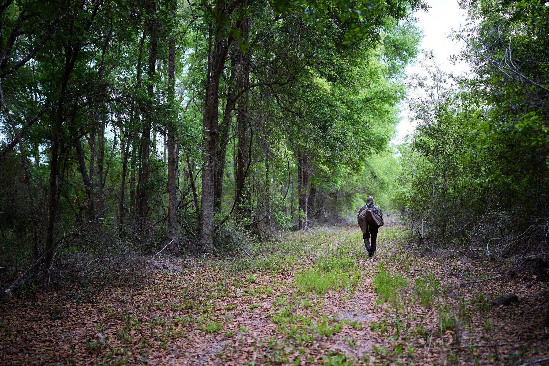 Hunter walks in the distance in the woods.