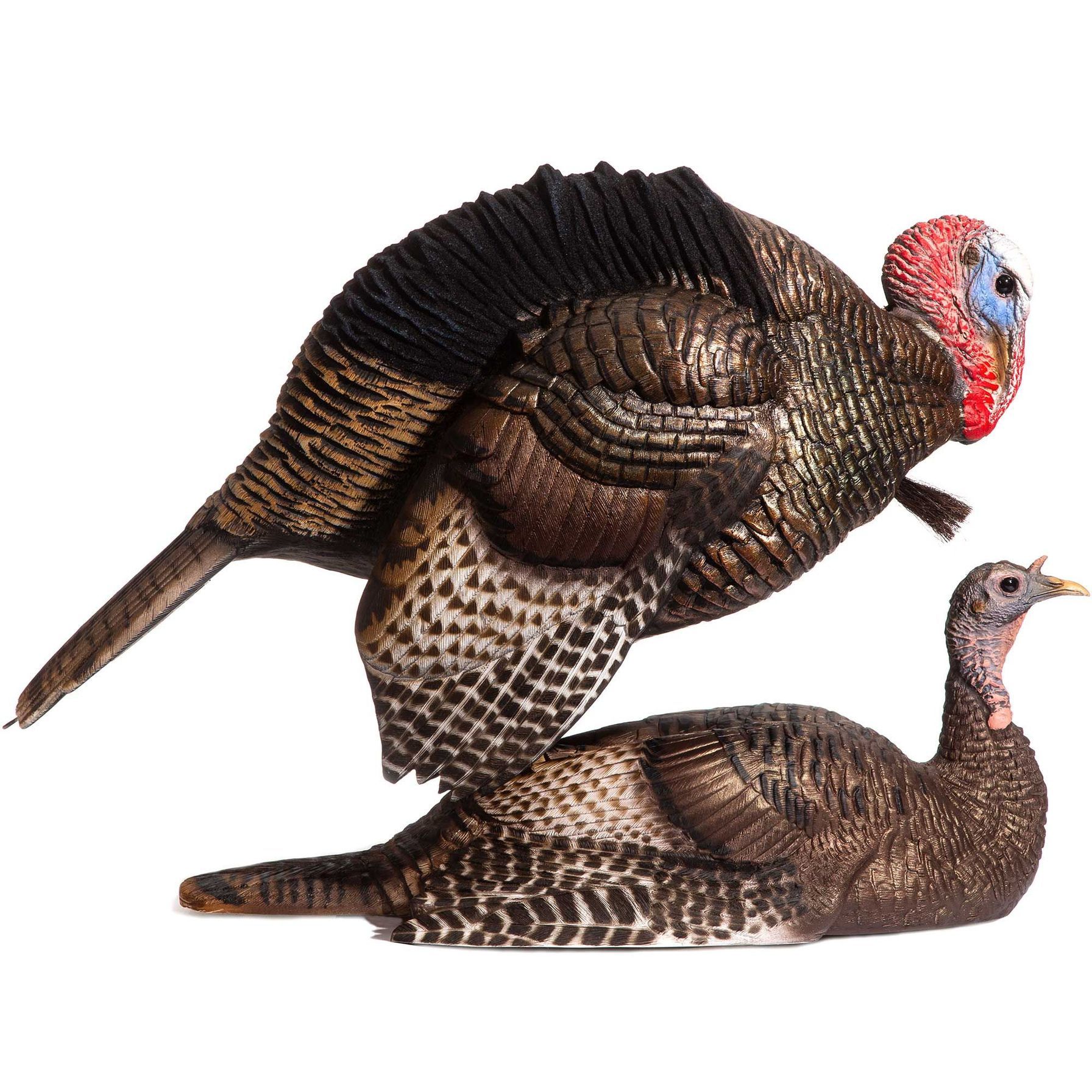 FGBLOG DSD Mating Motion Pair.jpg