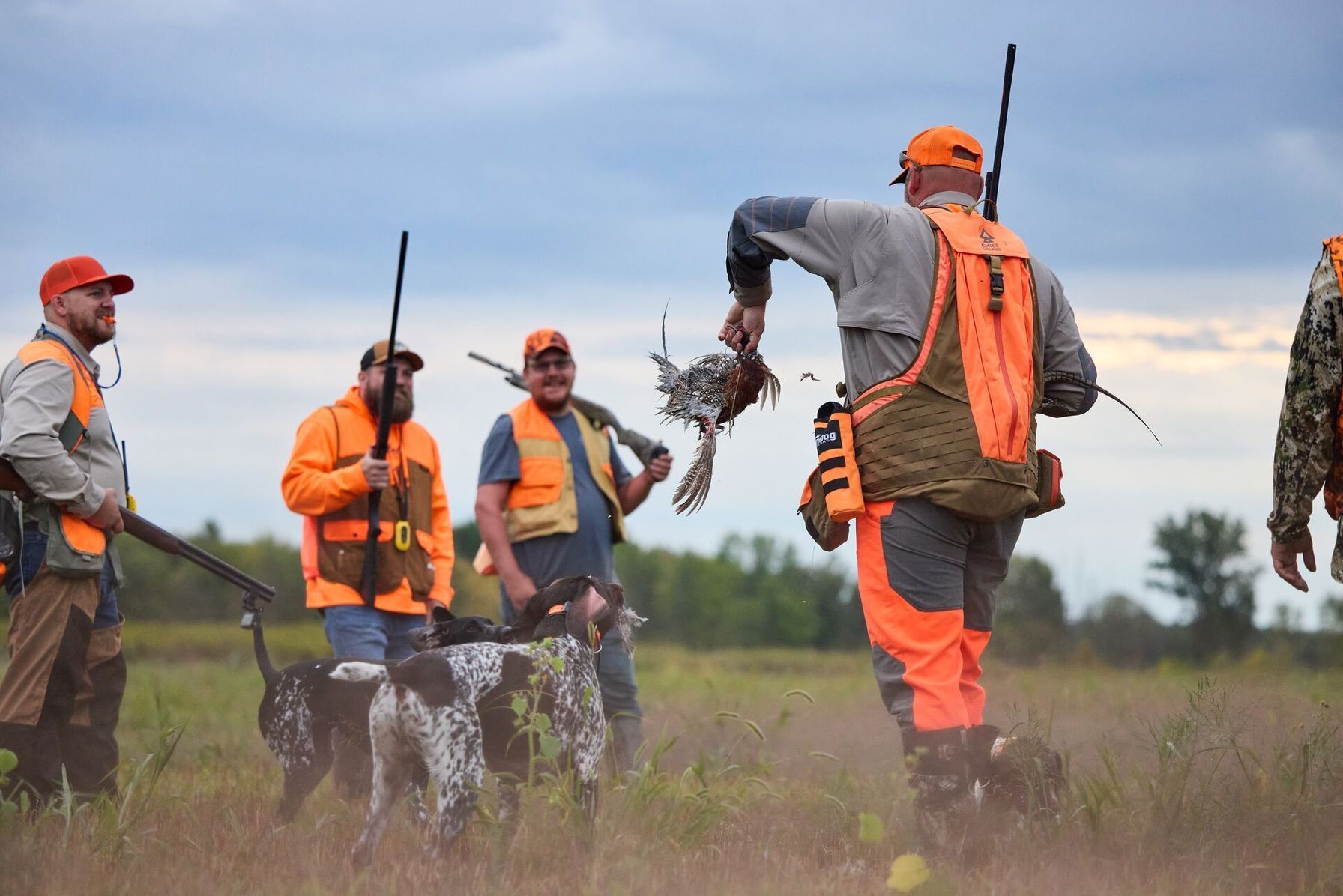 Hunter takes pheasant from dog during hunt.