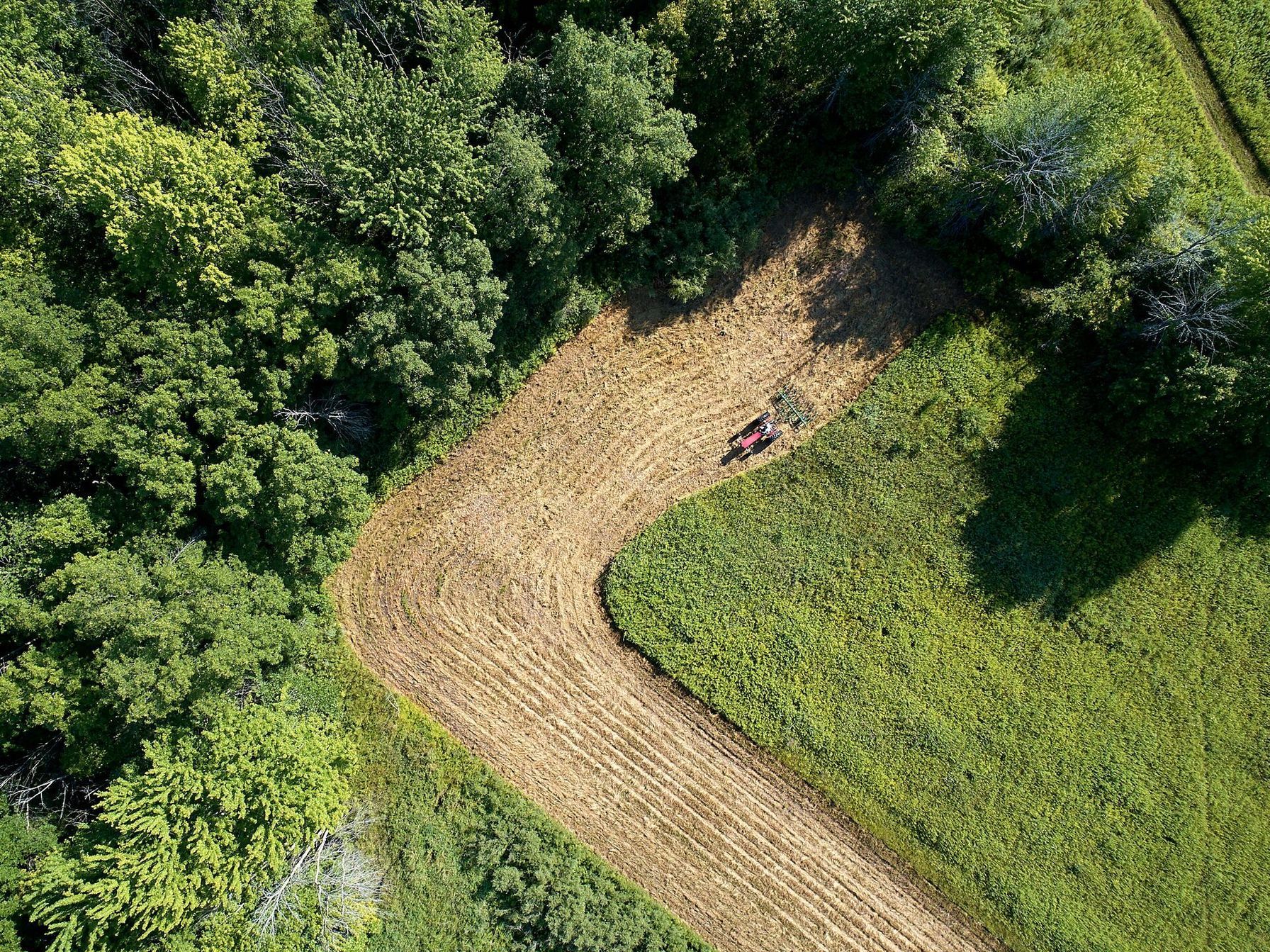 Overhead view of cleared land, dove hunting near me concept.