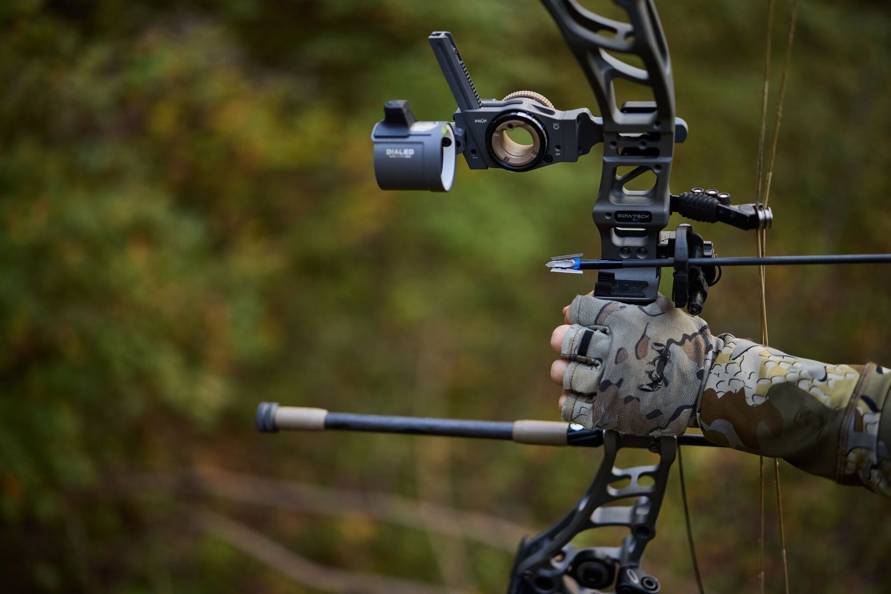 Close-up of a bow in hunter