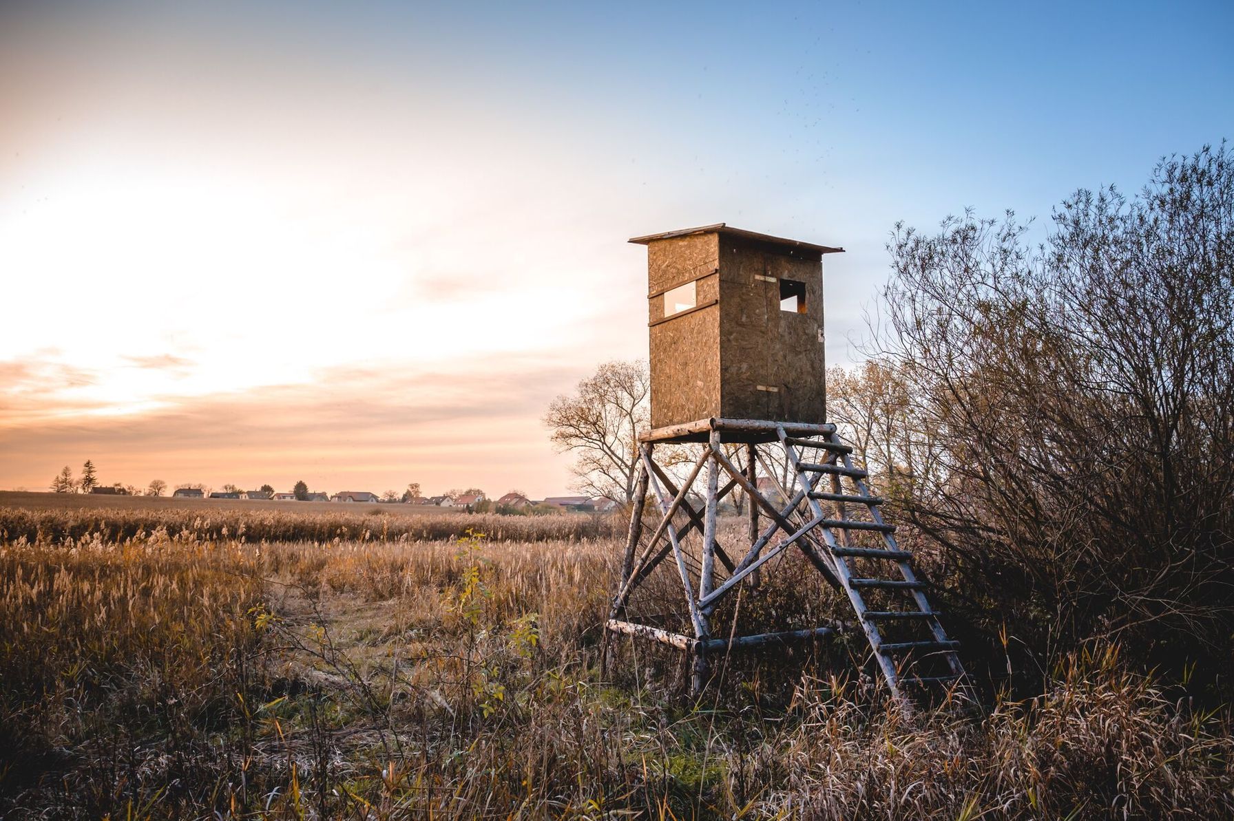 A tower blind for late-season whitetail hunting.