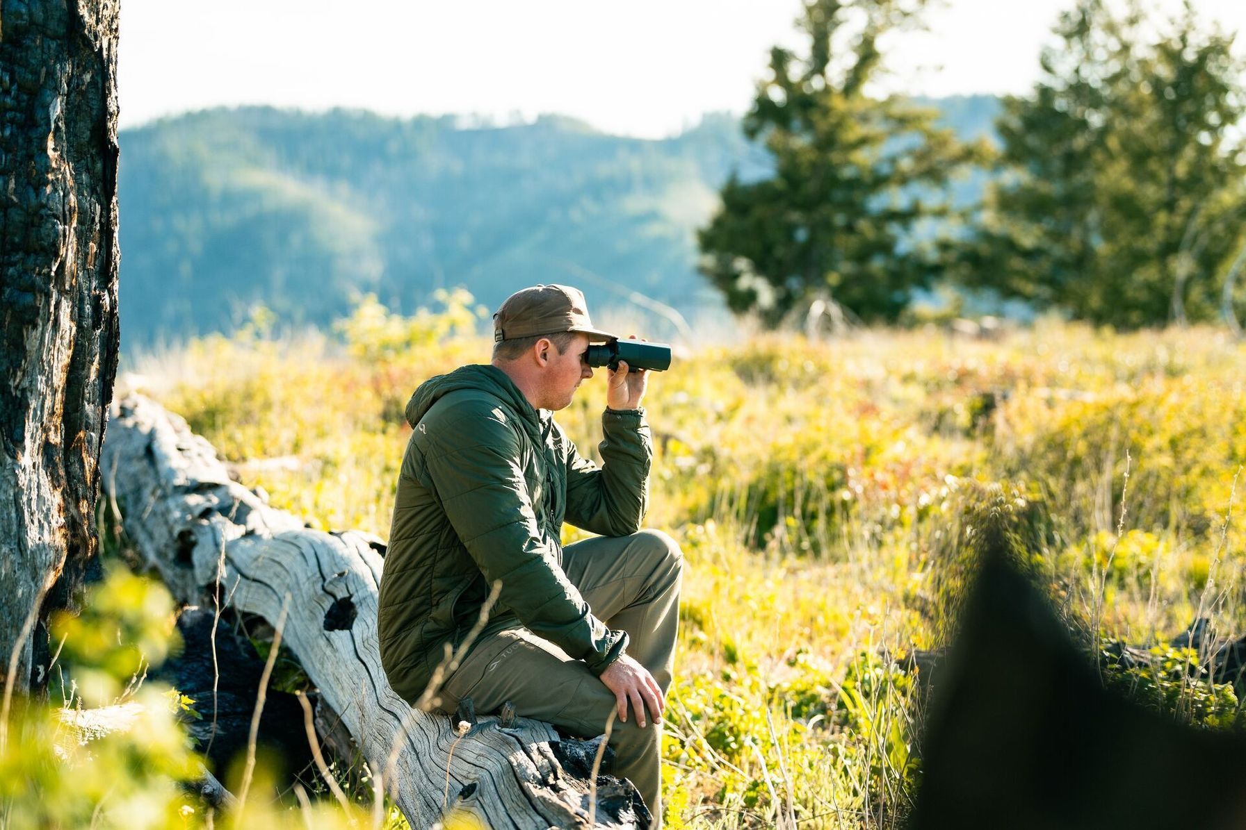 Hunter sits on log uses binoculars, hunting elk concept.