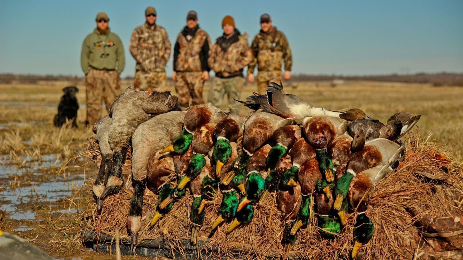 Group of hunters with dog behind ducks after hunt, find public waterfowl hunting land Oklahoma concept. 
