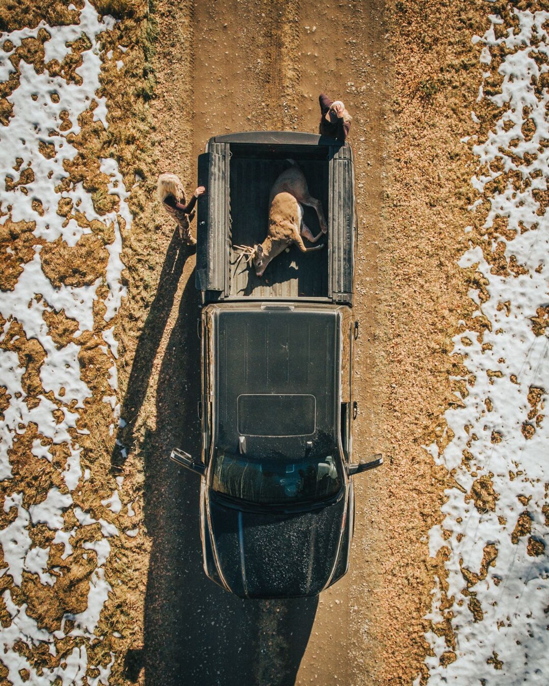 Overhead view of a deer in the back of a truck ready to be processed.