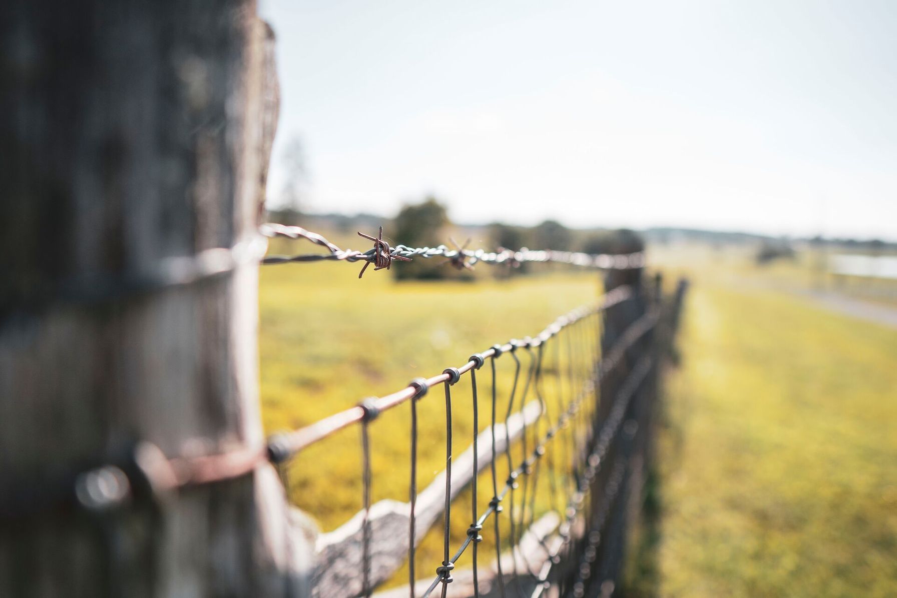 Close-up of a fence line, property lines vs fence lines concept.