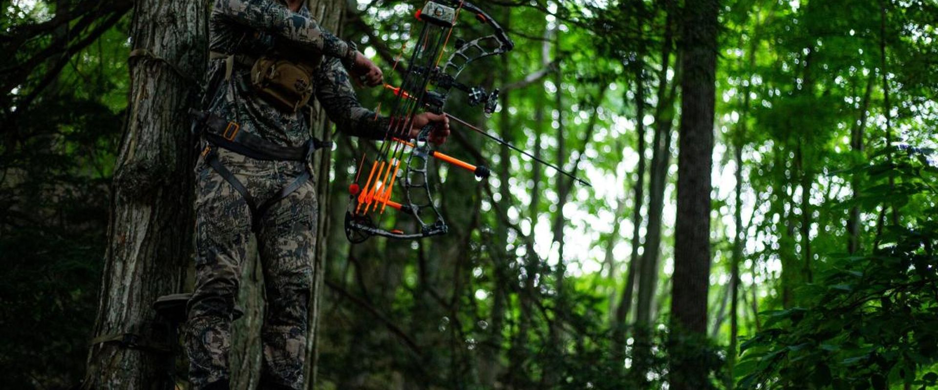 A hunter with a bow wearing camo while in a tree stand, hunt big bucks in thickets concept.