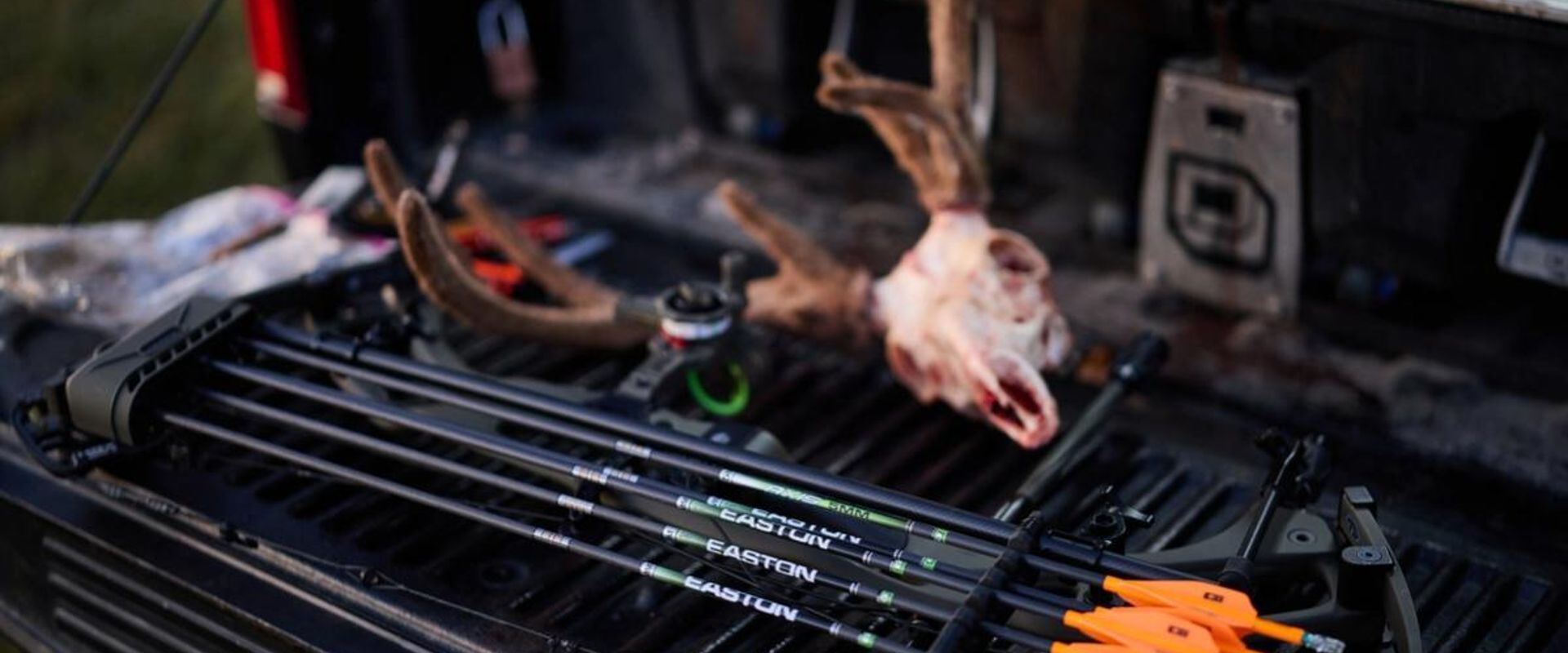 Arrows with deer skull and antlers on truck tailgate, archery season whitetail concept.