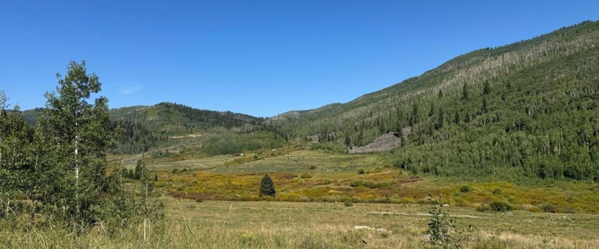 Wide view of valley and hills, where to hunt elk concept.