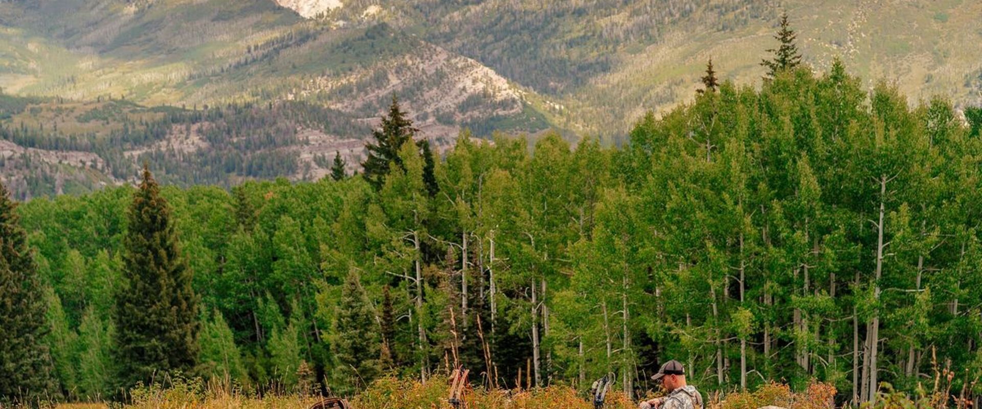 A hunter overlooks trees in a valley and mountains, how does hunting support conservation efforts concept.