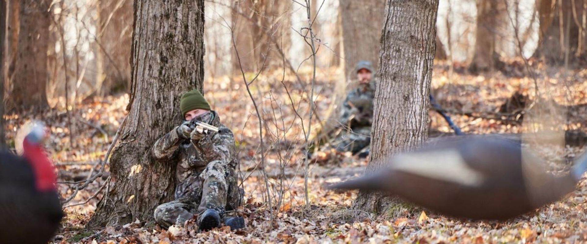 Turkey hunters sitting against trees aiming toward turkey decoys, PA seasons and bag limits concept.