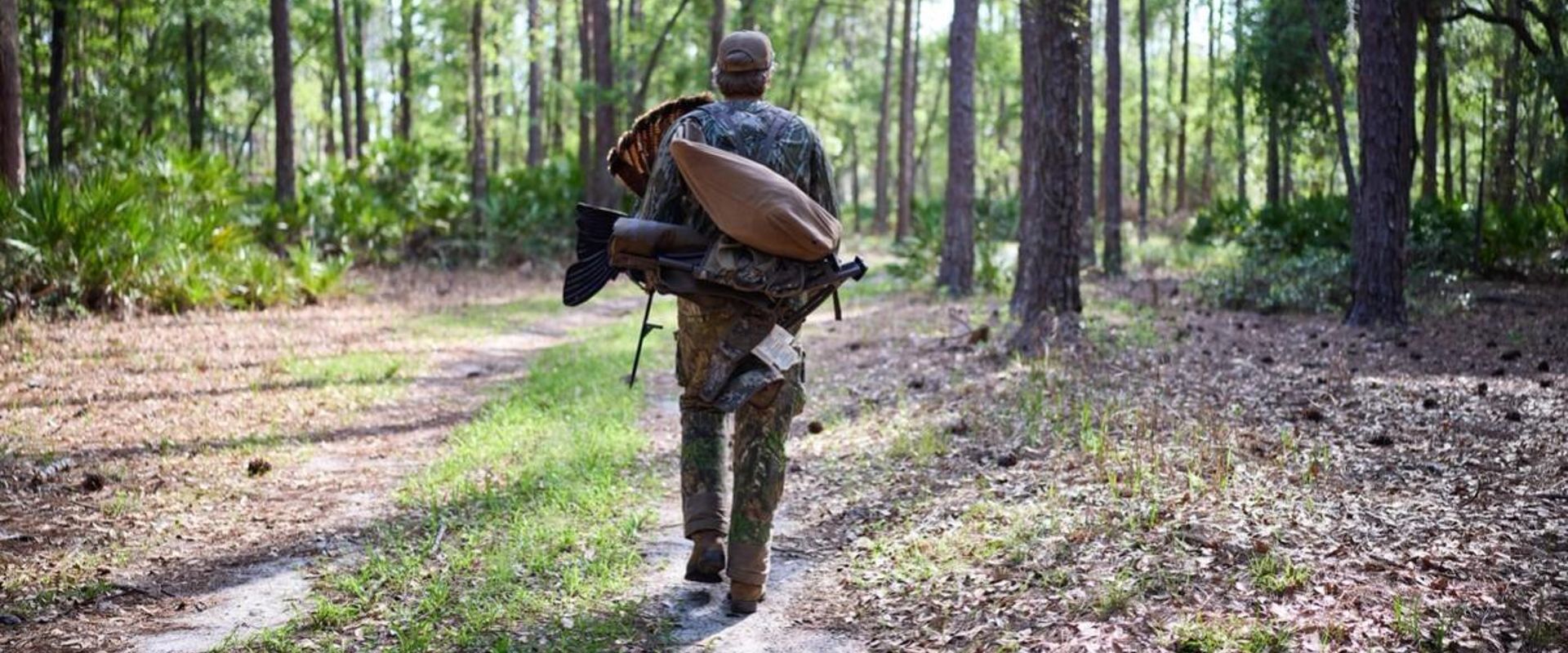 A hunter carries turkey hunting gear in the woods, how to hunt turkey in the spring concept.