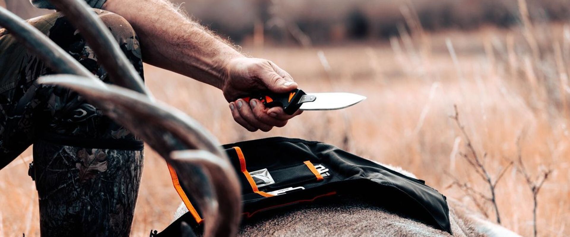 Close-up of a hunter and a hunting knife on a deer kill.