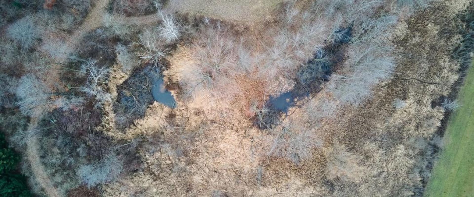 Overhead view of hunting land, find land for Georgia deer season 2025 concept.