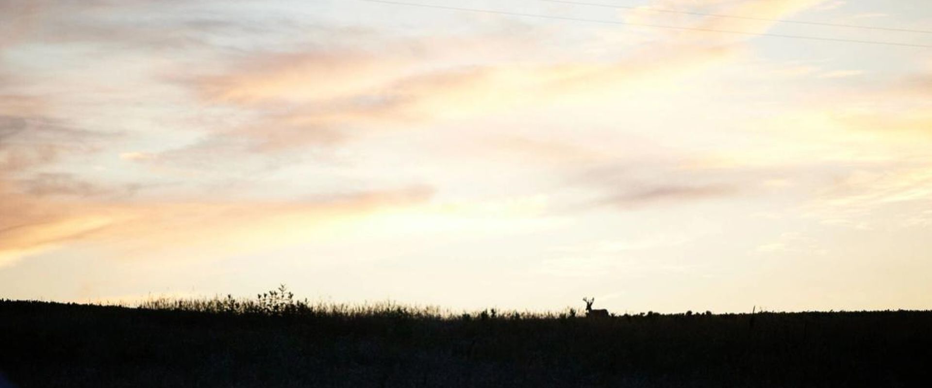 A sunset view of hunting land with a deer in the distance.
