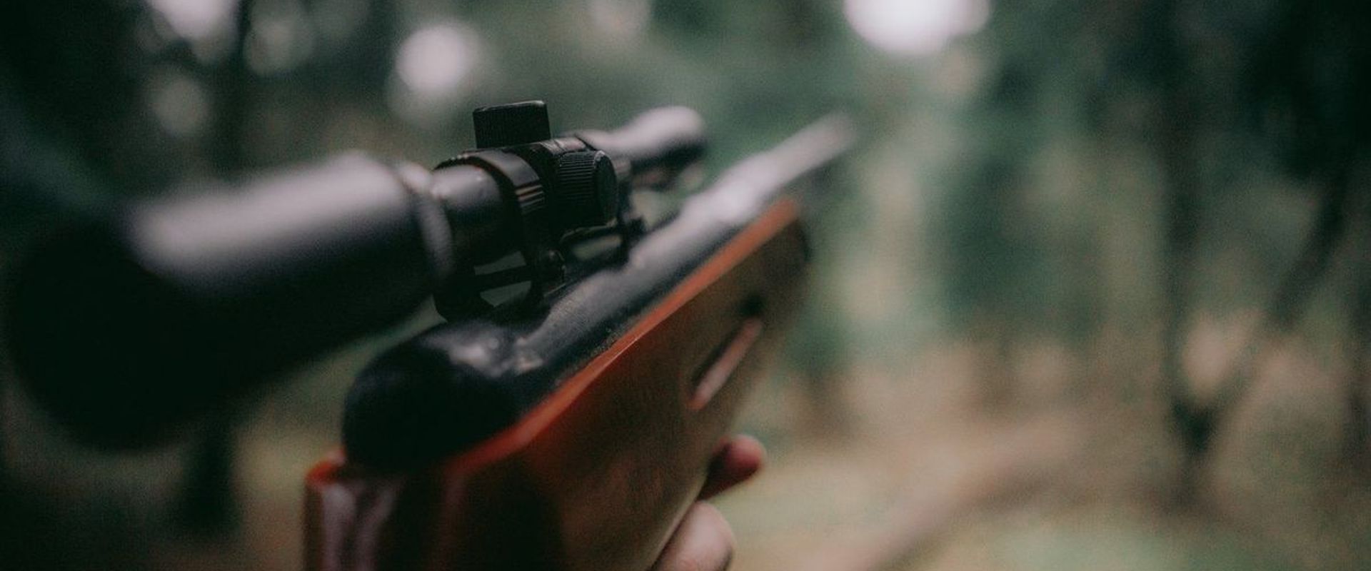 A rifle pointing into the woods, choosing hunting rifles concept.
