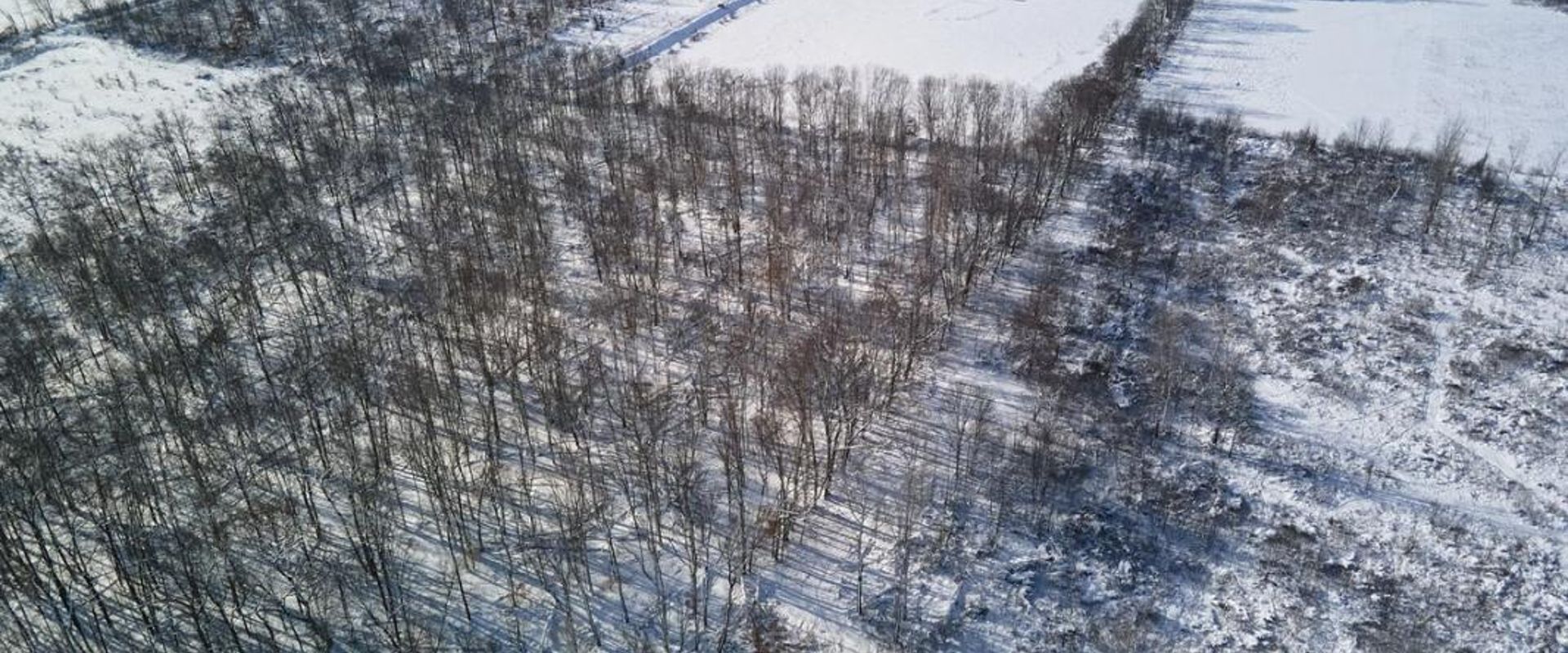 An overhead view of hunting land in the snow, January deer hunting concept.