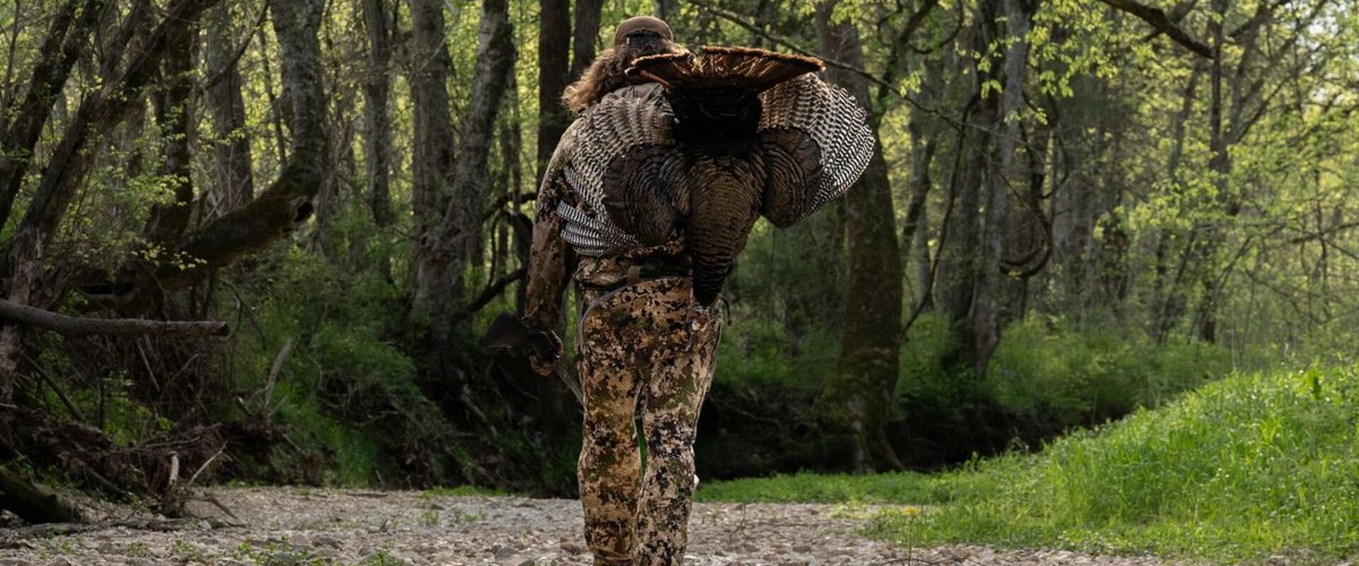 Hunter carrying a turkey on his back in the woods, Wisconsin turkey hunting season concept.