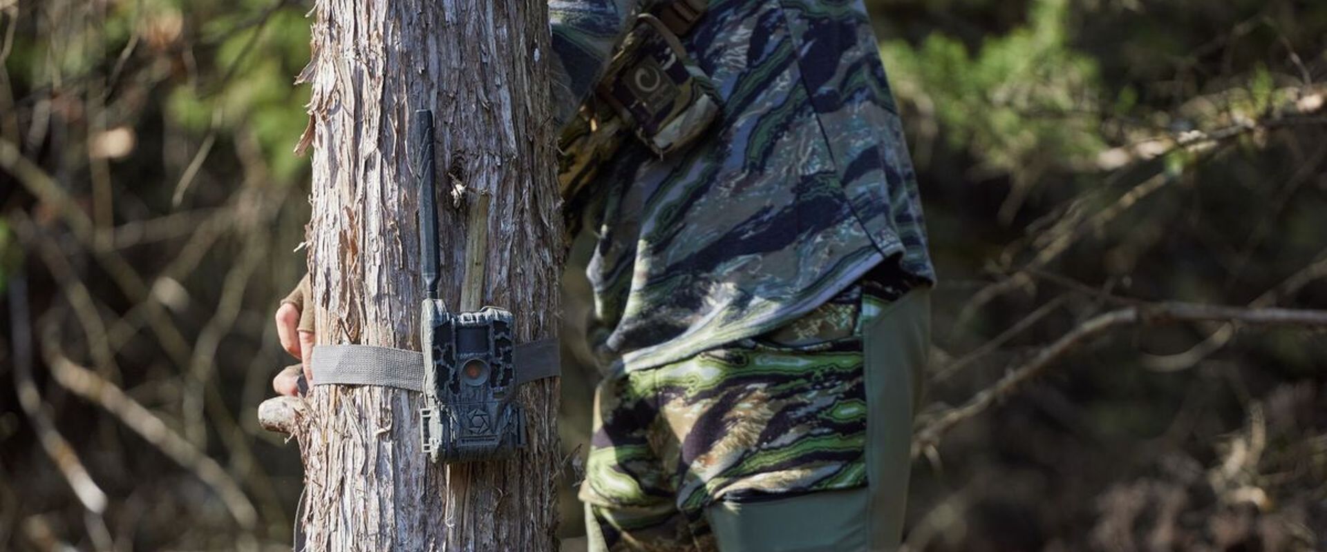 Hunter puts camera on tree, how to set up a trail camera concept.