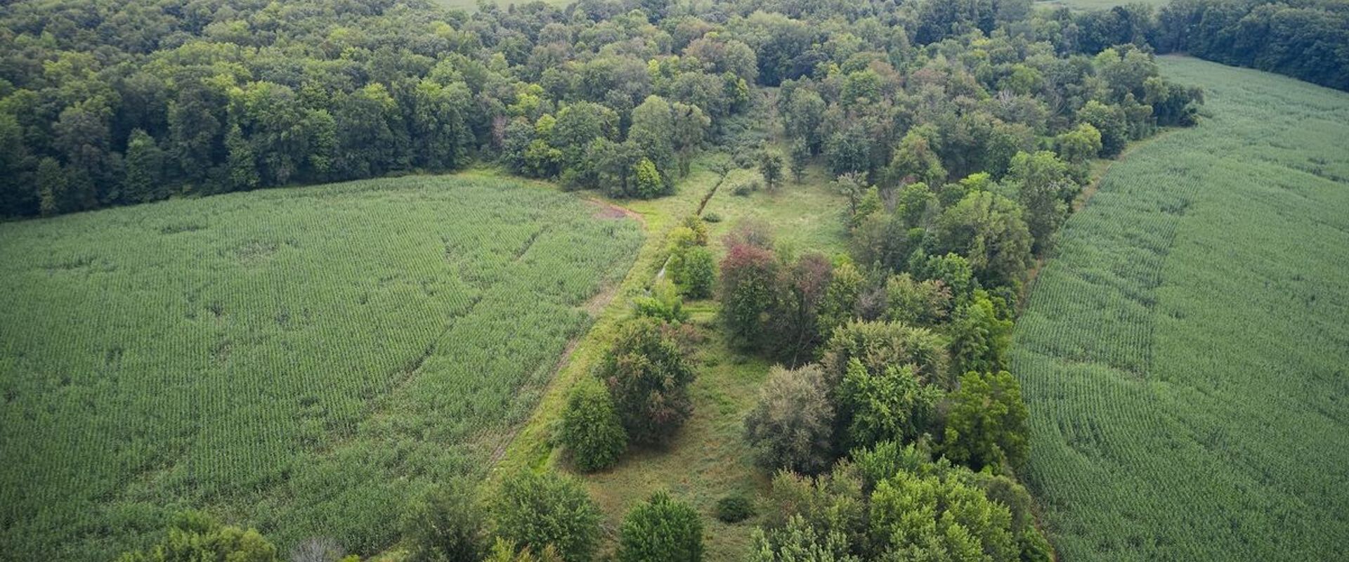 Overhead view of green parcels of land, how to find property lines in Arkansas concept. 