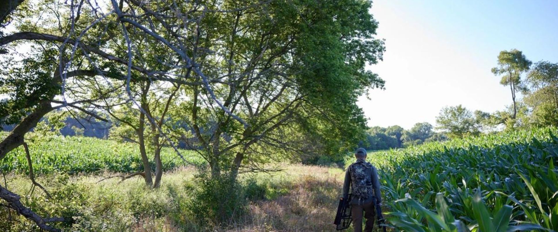A hunter carries gear into the field for a deer hunt.