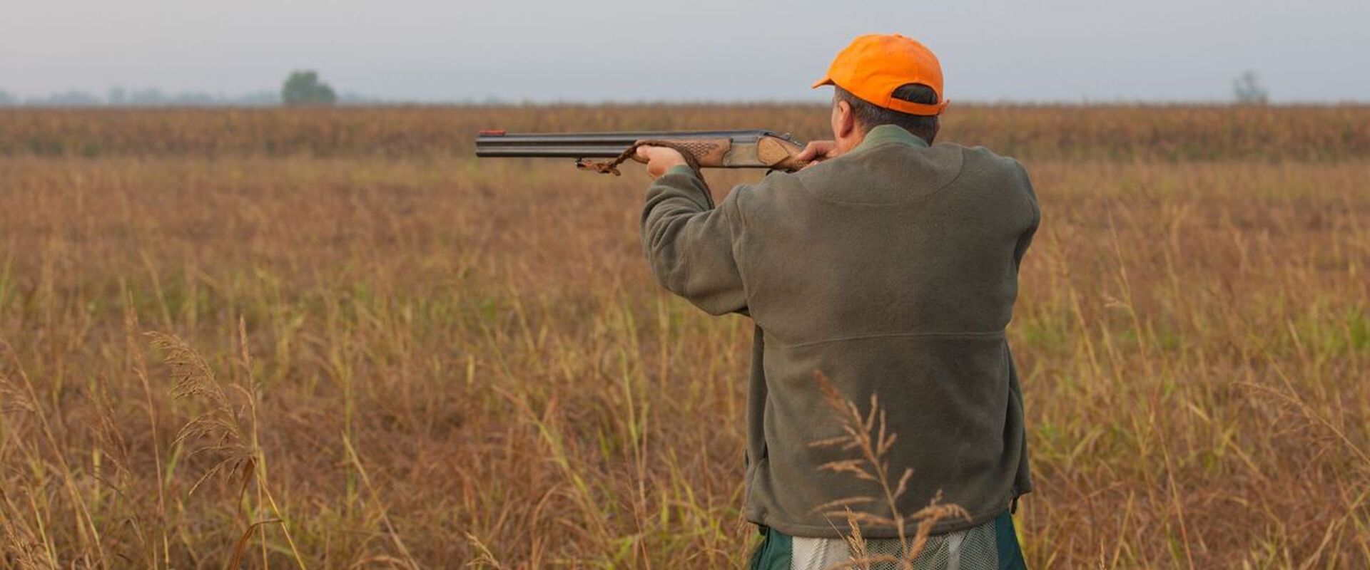 Hunter aims shotgun in field for quail hunt, choose shotgun and ammo for quail concept.