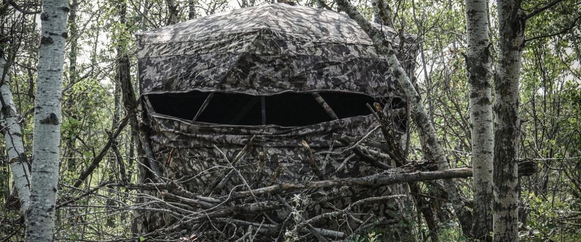A ground blind hidden in some trees.