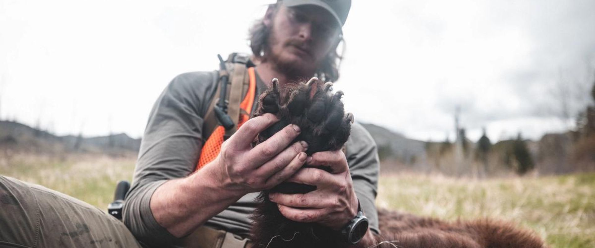 A hunter holds a bear paw, black bear hunting concept.