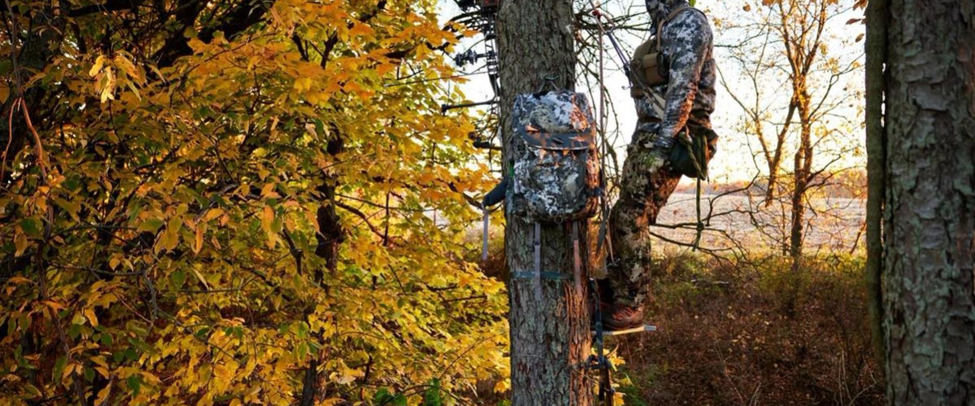 Hunter sits in a tree saddle for a hunt.