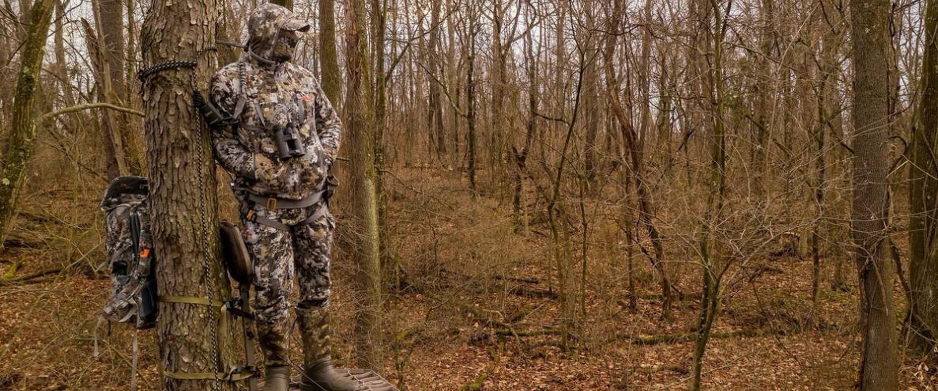 A hunter in camo in a tree stand looks out into the woods.