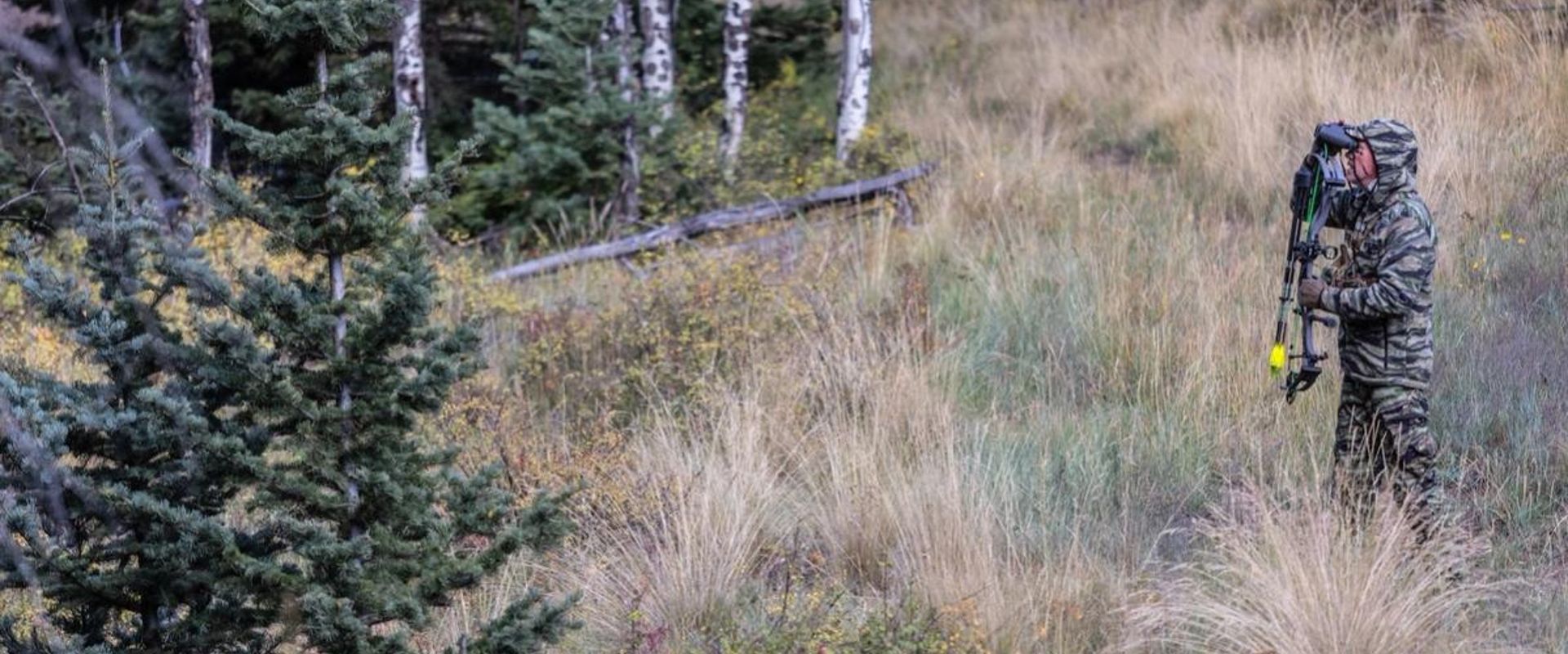 Hunter using binoculars in the woods, spot and stalk mule deer concept.