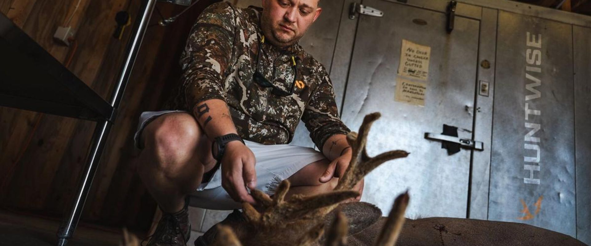 Hunter with buck deer after hunt in front of cooler, hunting whitetail before the rut concept.