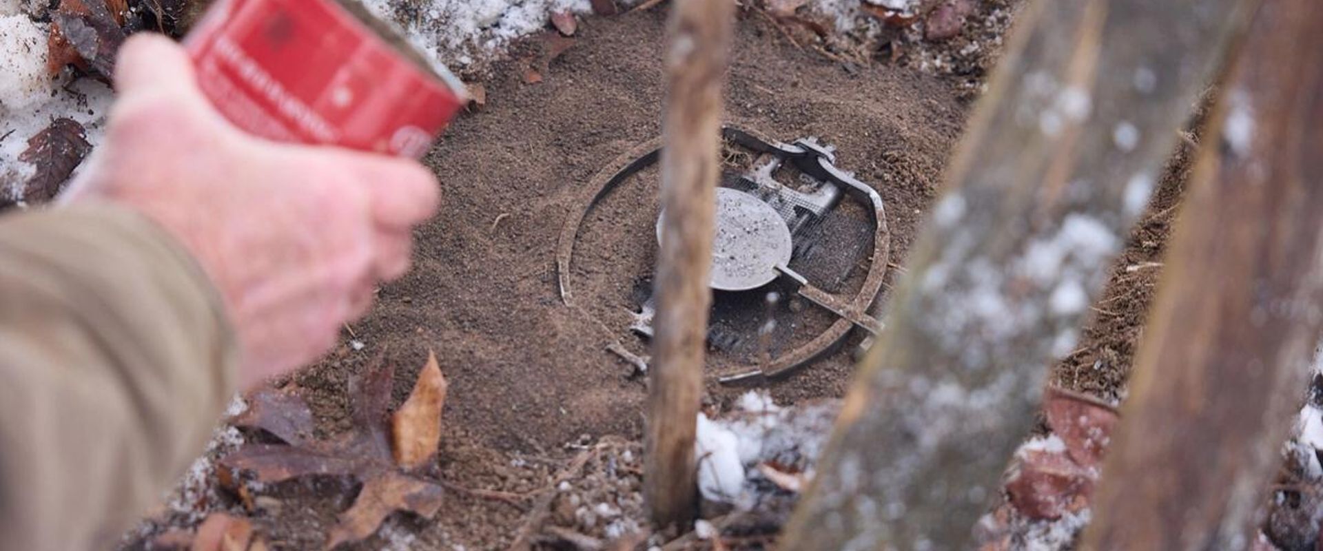 Close-up of hands setting animal trap, how to use live animal traps concept.