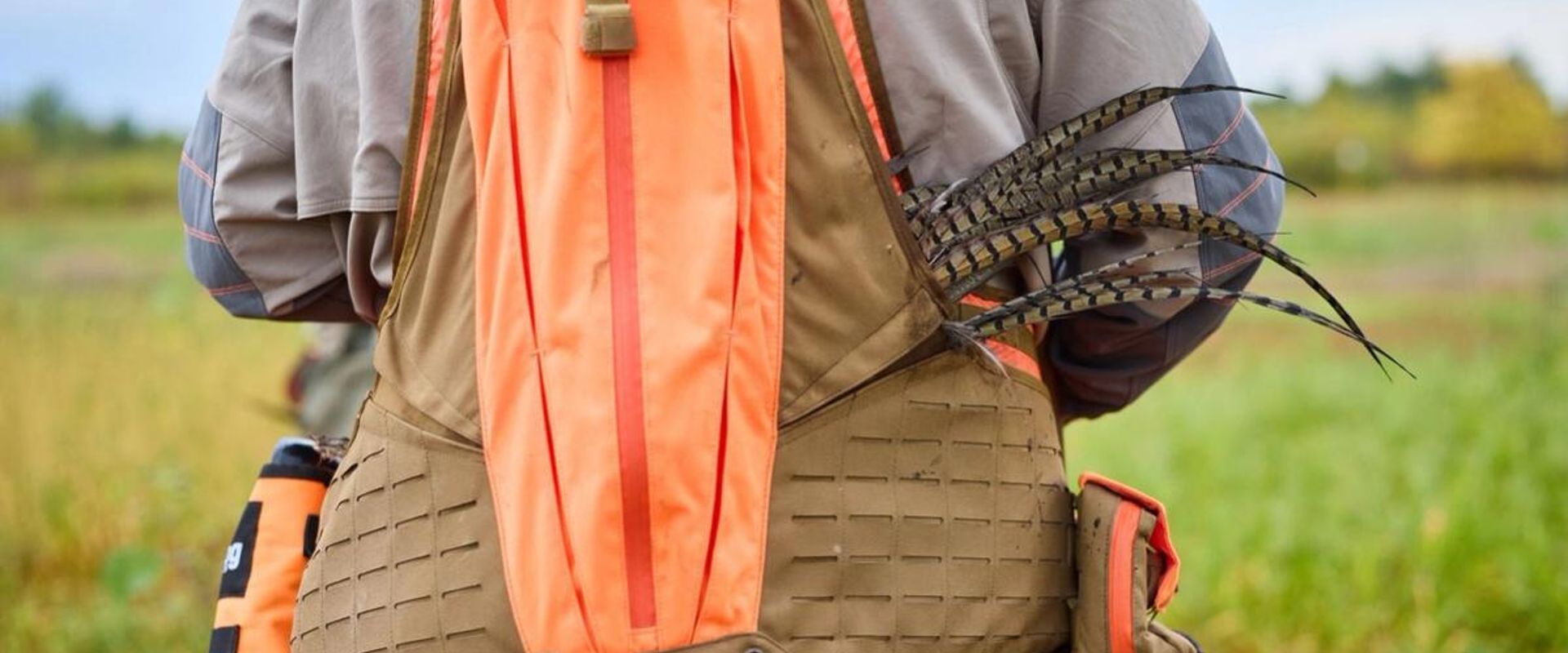 Back view of a bird in a hunter's orange pack, hunting pheasants in different weather concept.