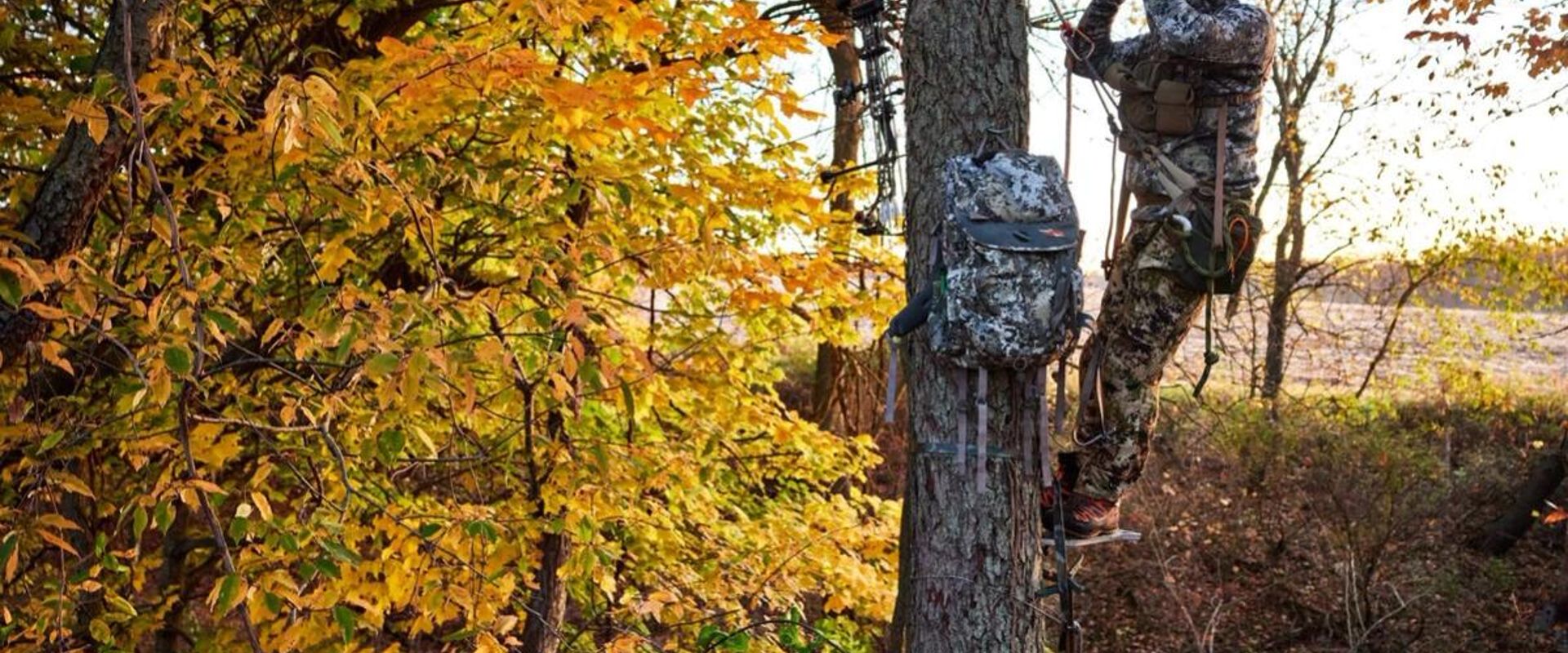 Hunter using binoculars in a tree stand, how to hang tree stand for bowhunting concept.