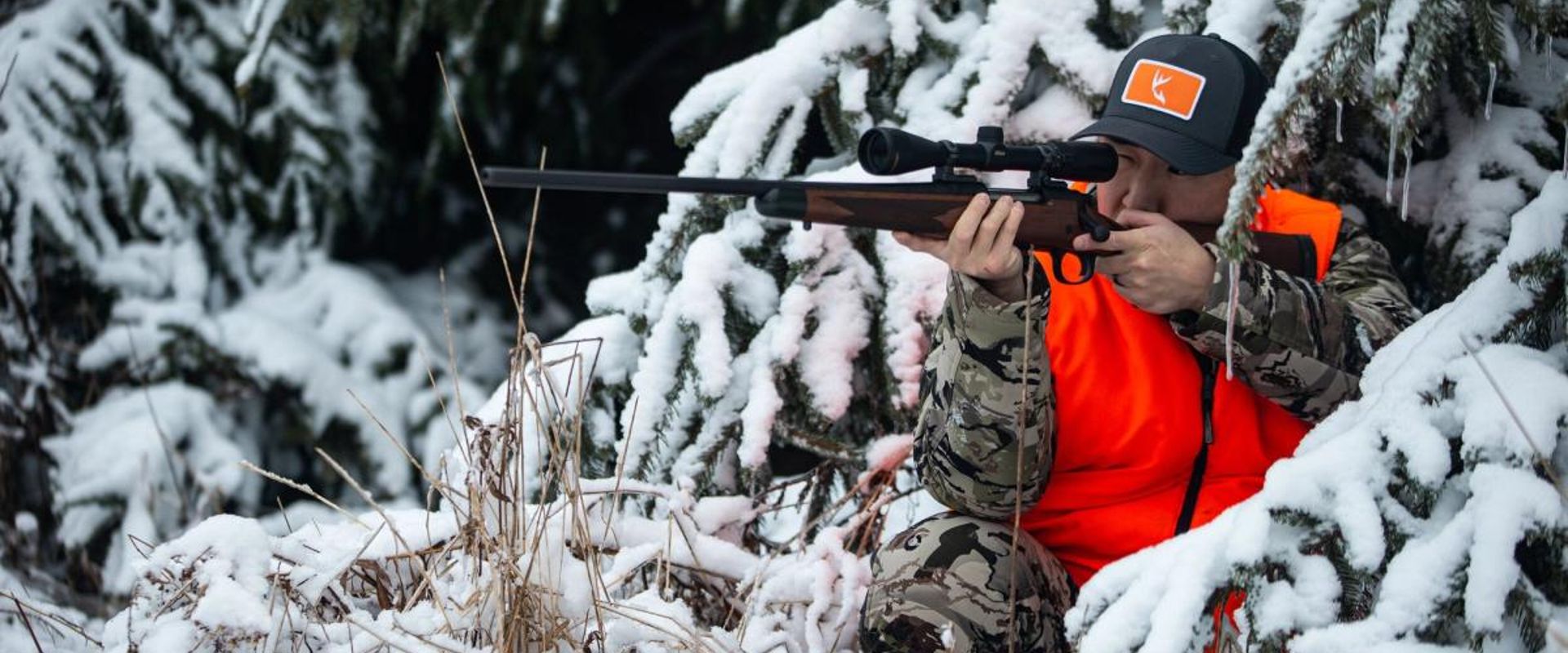 A hunter aims a rifle while hidden in snowy trees, hunting whitetail in winter concept.