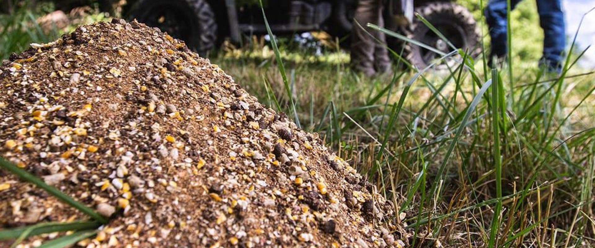 Deer feed on the ground, what to put in a deer feeder concept.