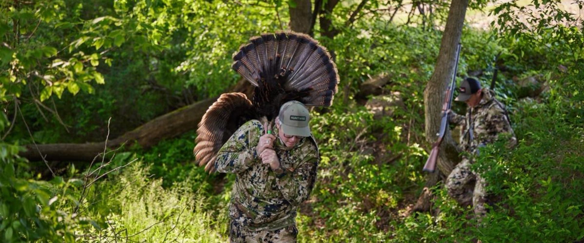 A hunter brings a turkey out of the woods after a hunt, Alabama turkey season concept.