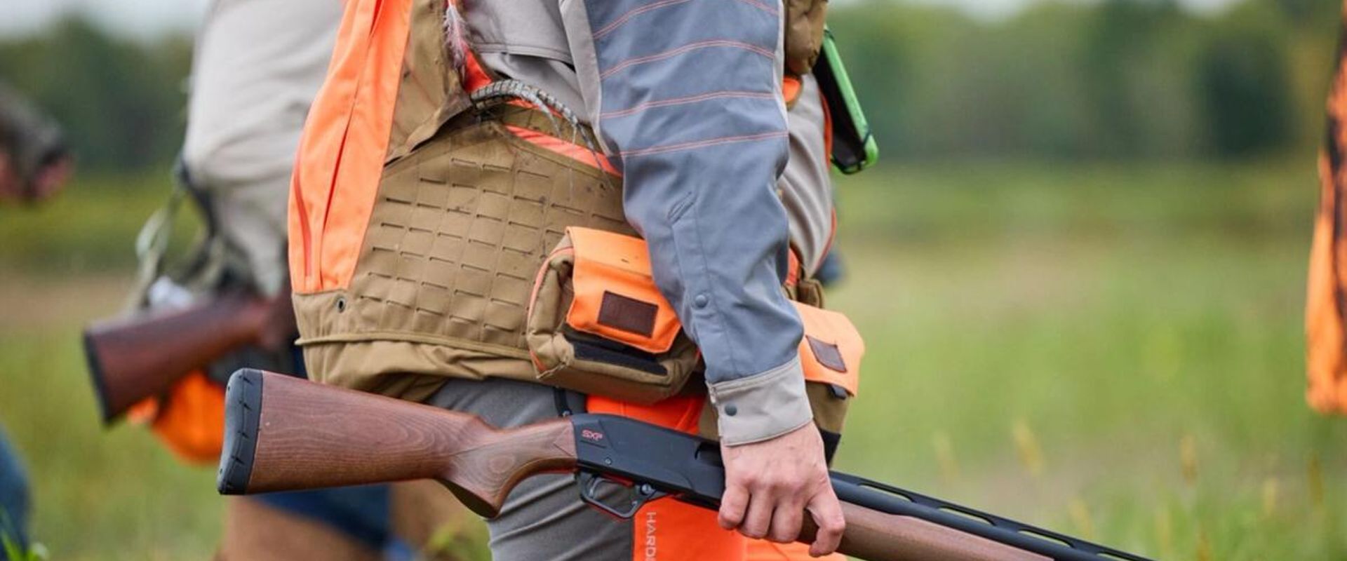 Hunter holds shotgun for pheasant hunt, shotgun for pheasant hunting concept.