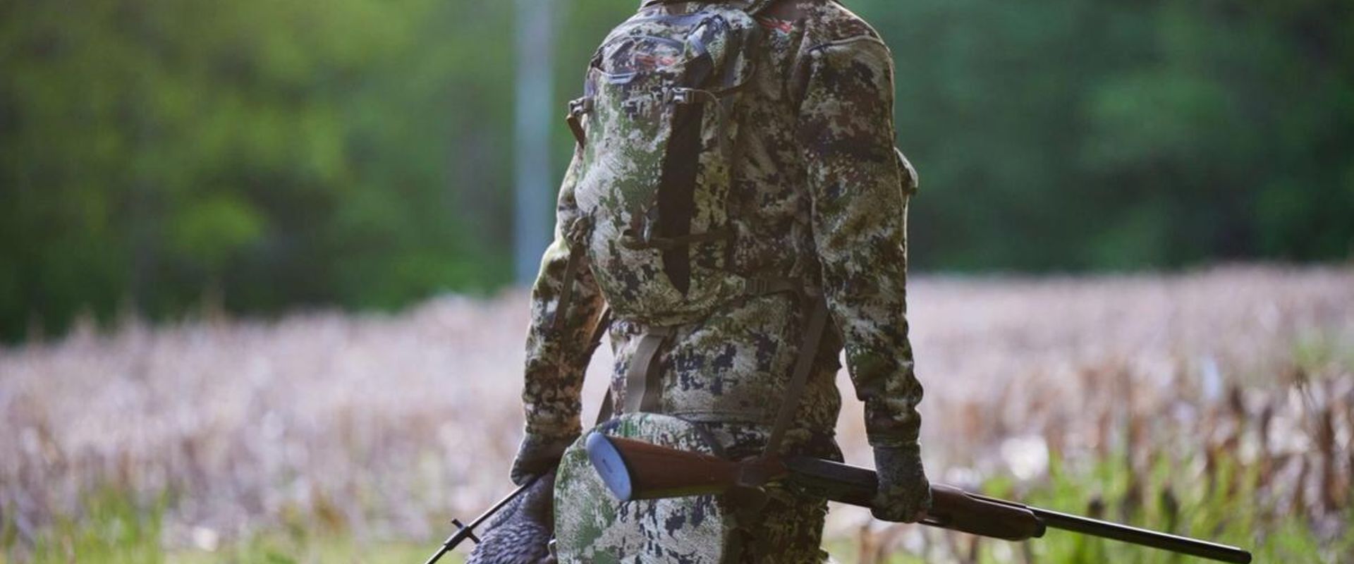 A hunter carries a turkey decoy into the field.