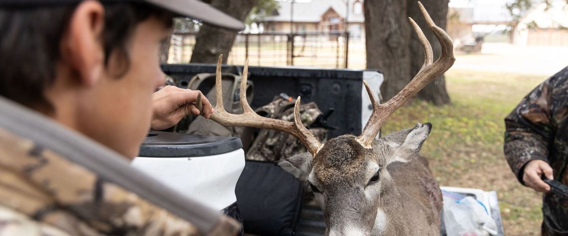 A hunter holds up the antlers of a buck in the back of a truck, best deer hunting states concept.