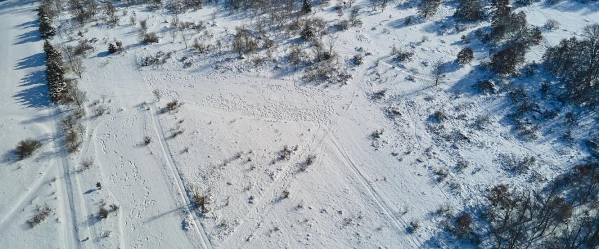 Overhead view of snowy ground and trees, best places to hunt rabbits concept.