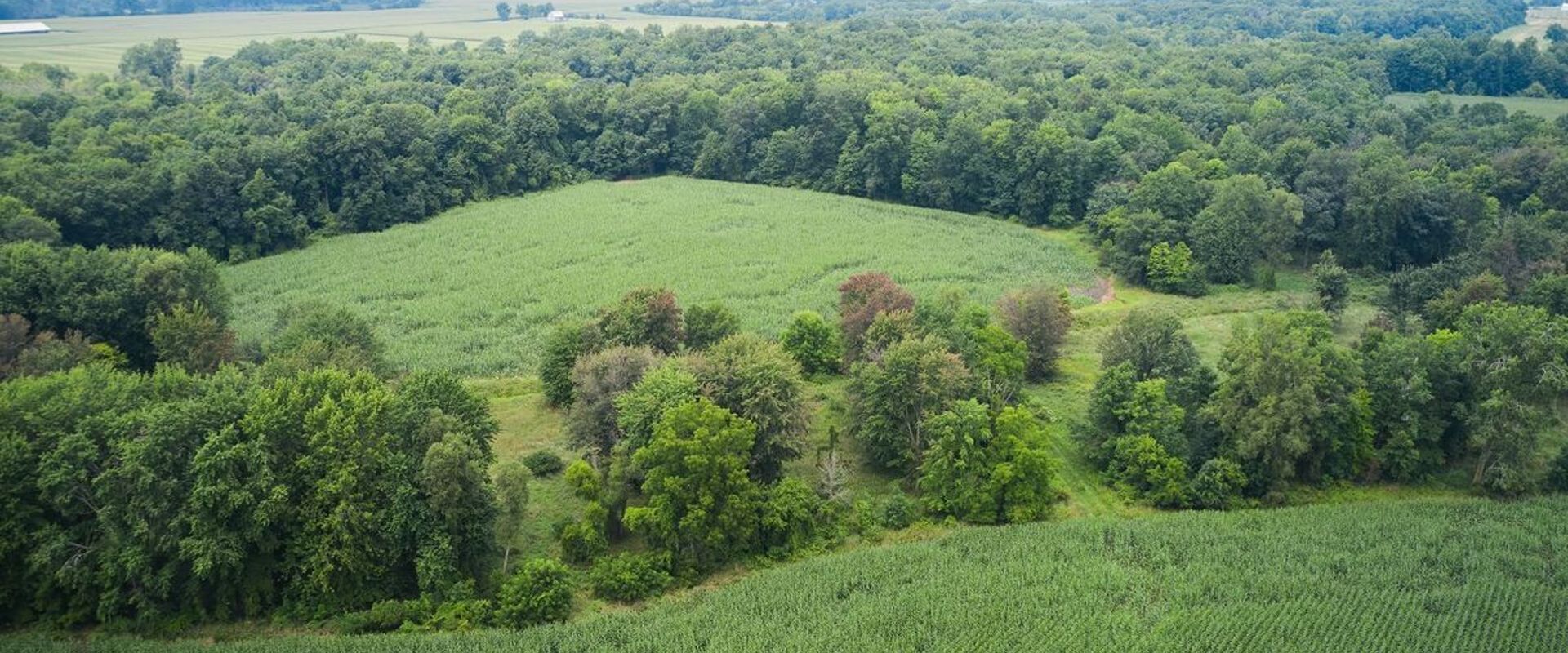 Overhead view of green farmland and trees, how to find property lines in Michigan concept. 