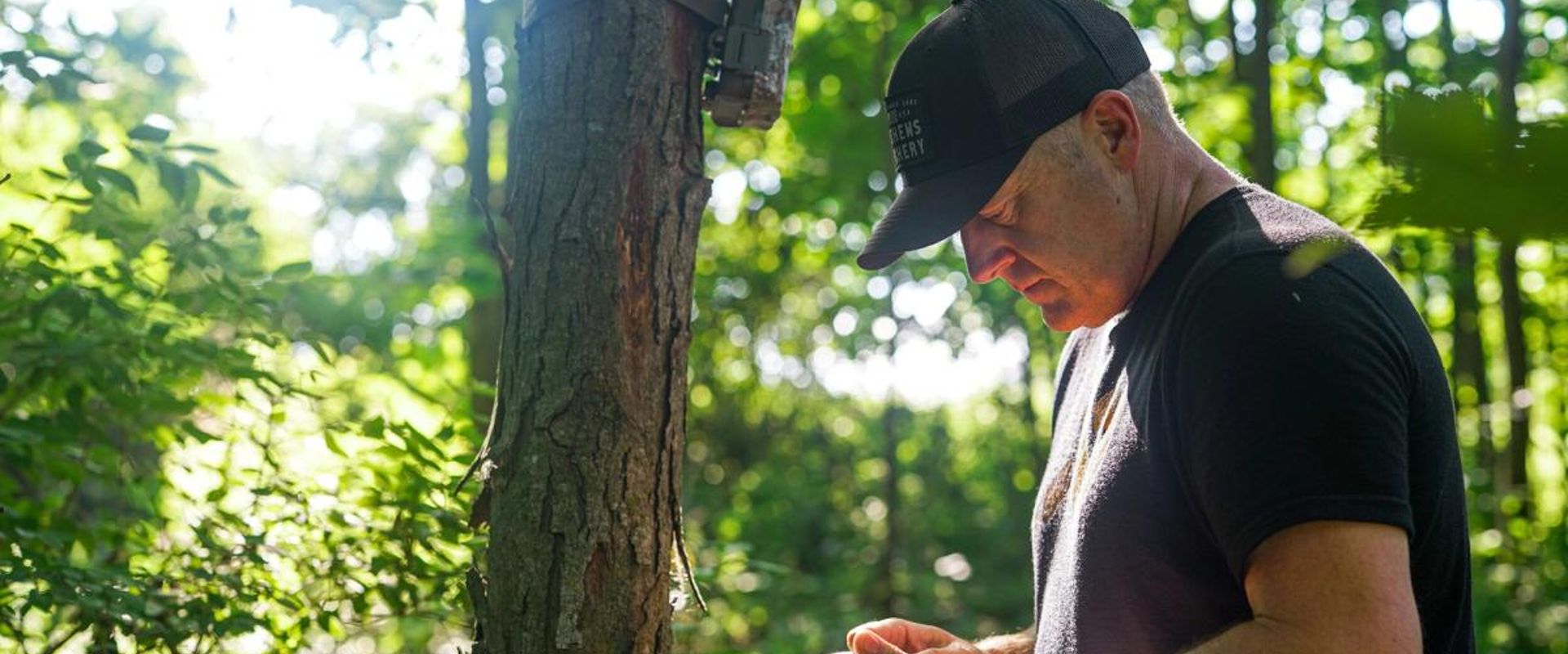 Jeff Sturgis checking trail cameras, whitetail habitat concept.